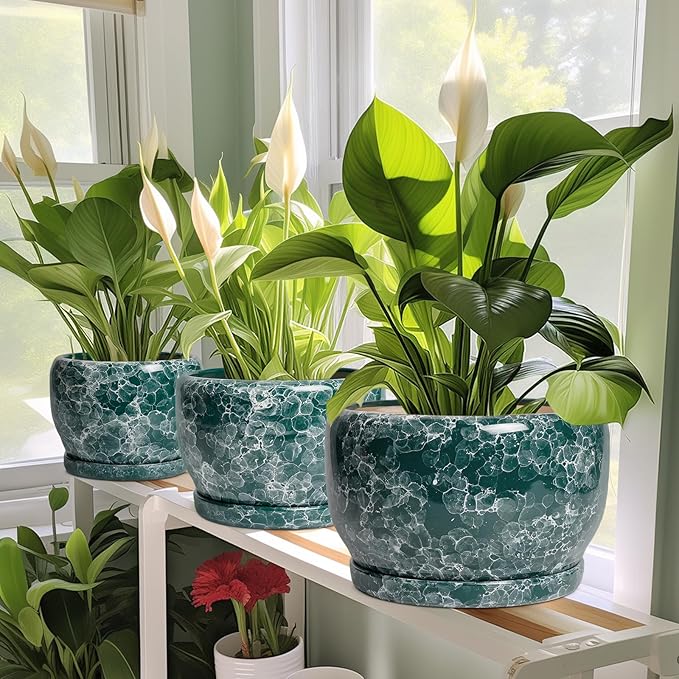 SQOWL 8 Inch Plant Pot - Ceramic Planter for Indoor Plants, Decorative Flower Pot with Drainage Hole and Saucer, Round Planter Outdoor, Room Patio Decor, Garden Gifts for Women, Green