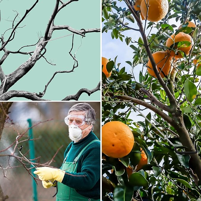 25 Pcs Fruit Trees Limb Spreader 10 Inch Tree Branch Puller Spreader with Plastic Hose Wrapped, Spreading Crotch Open Angles Branches Support Bending Tool for Shaping Seedlings Flowers