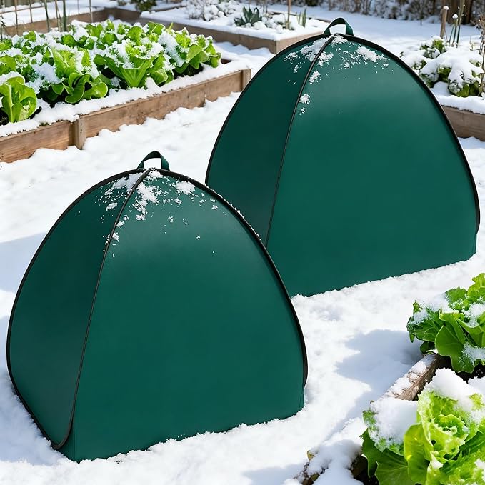 2 Pcs Pop Up Shrub Covers Frost Protection Tent, 38" x 36" x 36" Winter Plant Cover Freeze Protection, Warm Garden Plant Protector Tent for Protecting Outdoor Shrub Fruit Potted Plants from Snow & Ice
