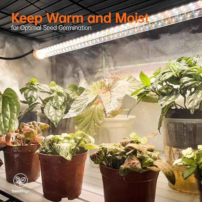 Bstrip Indoor Greenhouse with Grow Light, Plant Stand with 4 Pack 24W Full Spectrum Plant Lights, Plant Shelf with Tent for Indoor Plant, Seed Starting, Seed Tray, 29.5"x13.8"x59"