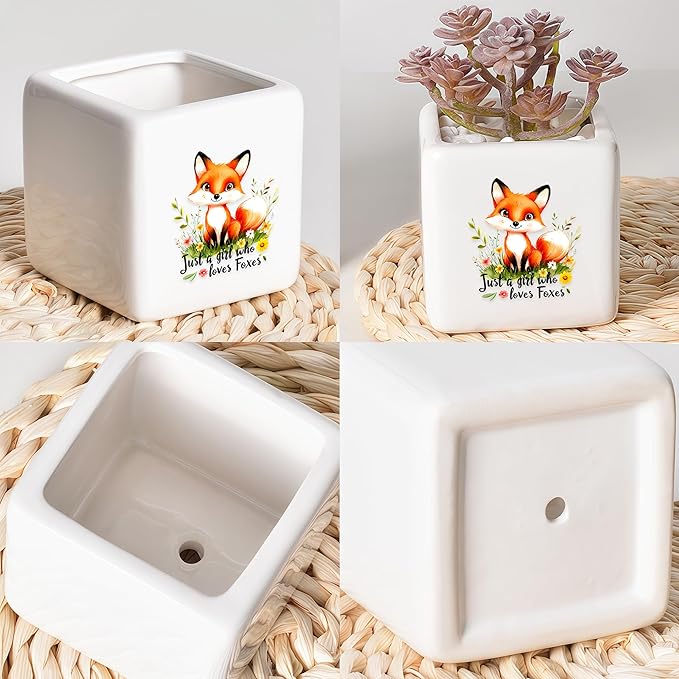 BJDAMAI Fox Succulent Planter Flower Plant Pot Small, Gifts for Women Teens Girls Kids, Fox Lovers Themed Stuff Accessories Things Decor Merch, Home Office Table Desk Decoration!
