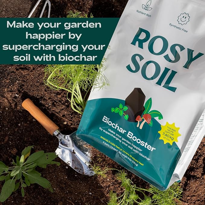 Rosy Soil Biochar Booster 8qt + Cactus & Succulent Potting Mix 4qt Organic Indoor Living Soil Bundle - Peat-Free, Fast Draining Mix with Mycorrhizae, Worm Castings & Biochar for Healthy Root Growth