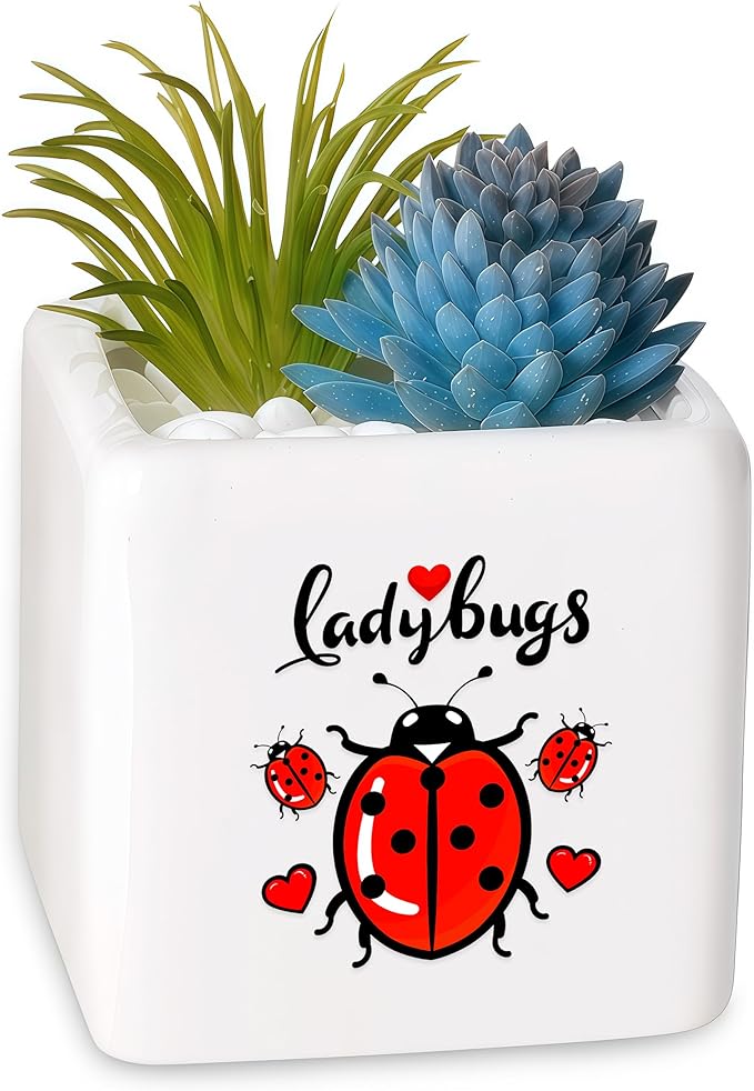 BJDAMAI Ladybugs Succulent Planter Flower Plant Pot Small, Gifts for Women Teens Girls Kids, Ladybugs Lovers Themed Stuff Accessories Things Decor Merch, Home Office Table Desk Decoration!