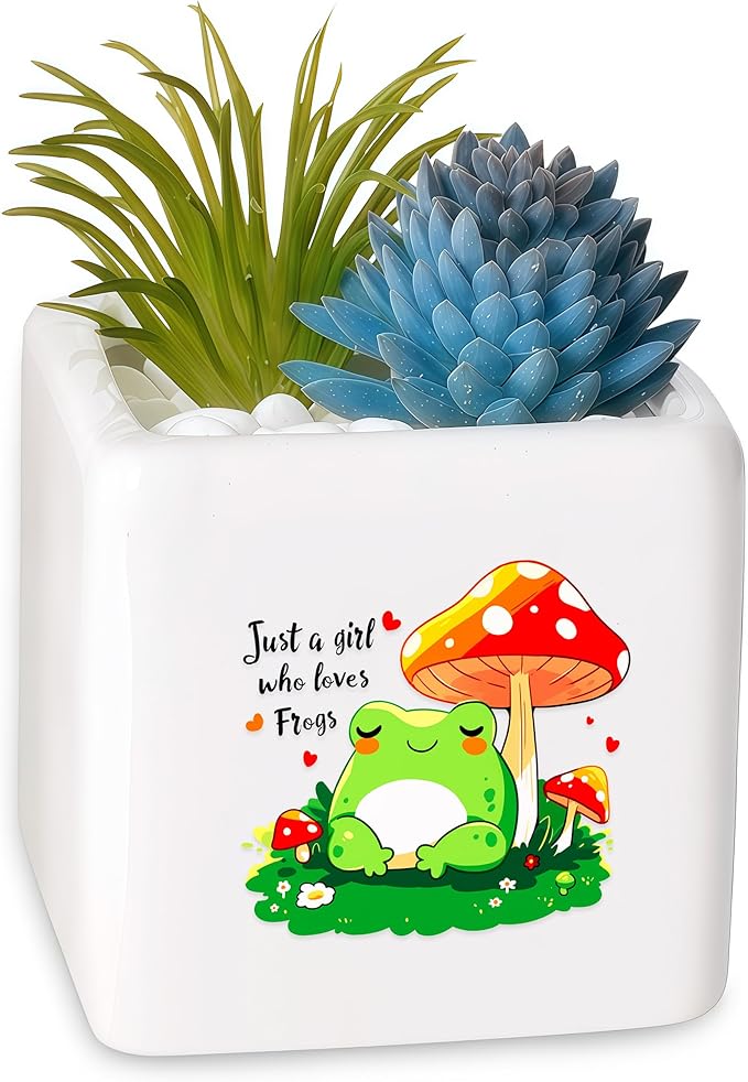 BJDAMAI Frog Succulent Planter Flower Plant Pot Small, Gifts for Women Teens Girls Kids, Frog Lovers Themed Stuff Accessories Things Decor Merch, Home Office Table Desk Decoration!