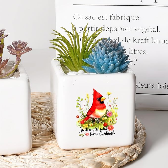 BJDAMAI Cardinal Succulent Planter Flower Plant Pot Small, Gifts for Women Teens Girls Kids, Cardinal Lovers Themed Stuff Accessories Things Decor Merch, Home Office Table Desk Decoration!