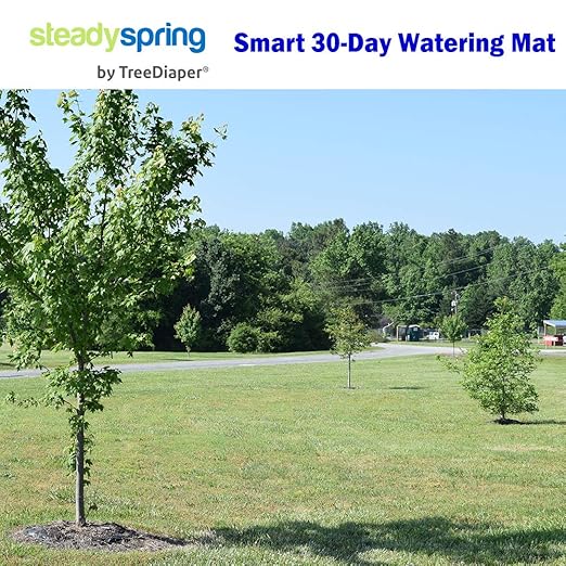 SteadySpring® 24" Smart 30+Day Tree Watering Mat - AUTO Refills with RAIN and Slow Releases As Plant Needs - for Root Balls 11" - 15" Dia Slow Release Technology Prevents Over and Under Watering (24)