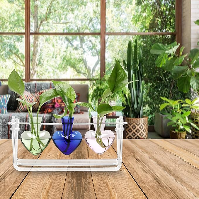 CYZglass Clear Plant Terrarium Propagation Stations with Acrylic Stand Birthday Gifts for Women Office Home Decor