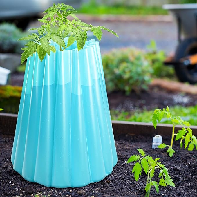 Adnee 5 Pack Water Filled Plant Protectors-19 x 17 Inch Reusable Wall of Water Plant Covers for Tomato Plants-Blue Early Season Insulating Plant Protective Cover for Outdoor Winter Freeze Protection