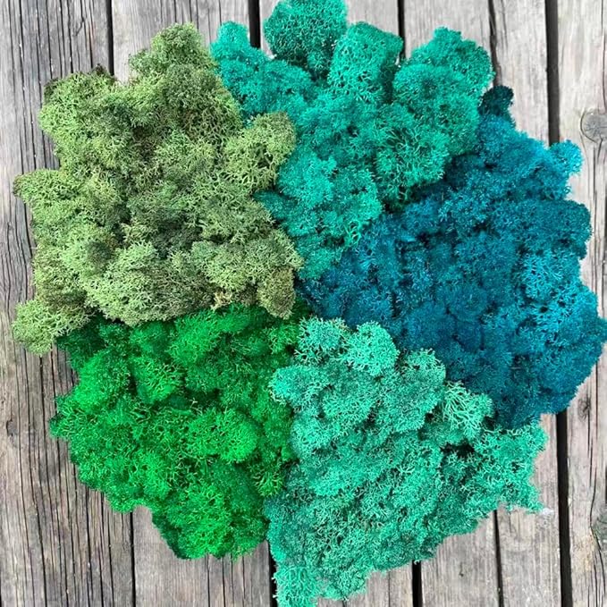prefleur Preserved Reindeer Moss Natural Green DIY Kit Gardenning Art Wall Decor Florist Decor Easter Table Decor Wedding