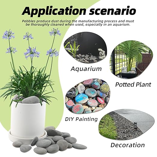7LB River Rocks,Mexican Beach Pebbles for Plants,Potting,Garden Landscape Stone Paving Stone Grey 1Inch - 2Inch