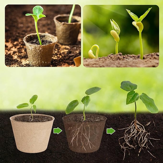 ModaSin 65 Pcs Organic Peat Pots, 4 Inch Nursery Pot Set, Round Plant Seedling Pots with Drainage Holes, Small Seed Starting Starter Tray Bulk, Garden Germination Container with 65 Plant Labels