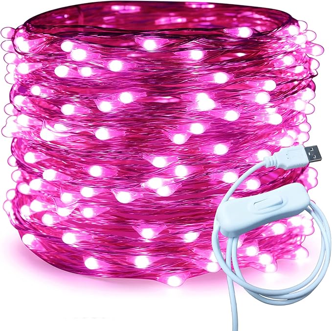 RUICHEN Silver Wire 66 Ft 200 LED USB Fairy String Lights with On/Off Switch (Pink)