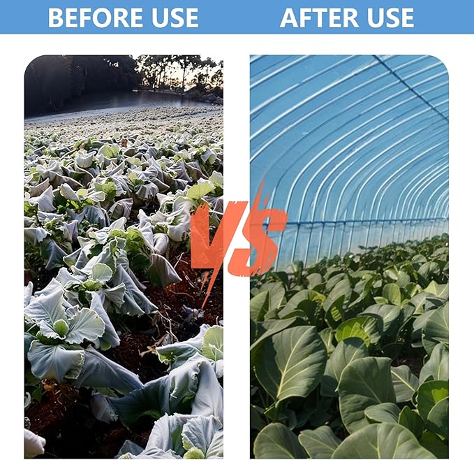 20x30 FT Greenhouse Plastic Film, 6 Mil Clear Film, Superior Toughness, Transparent Hoop House Covering for Gardening, Farming