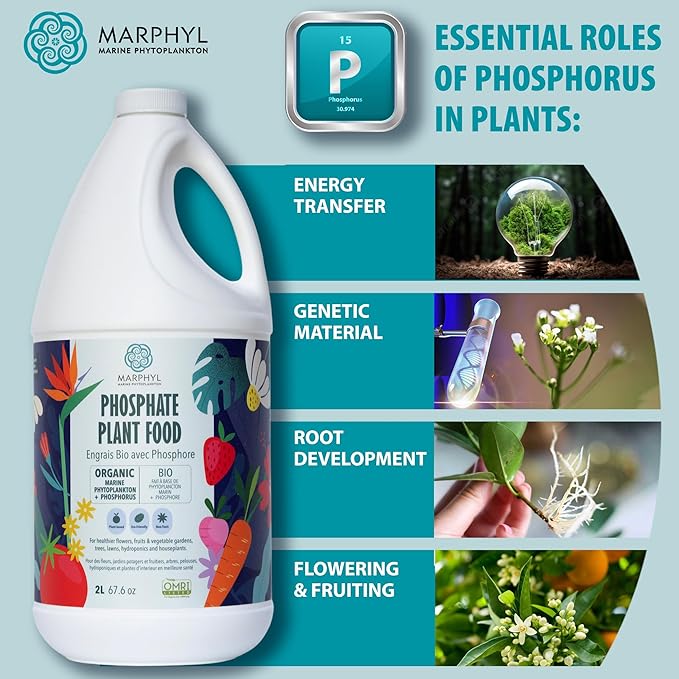 MARPHYL Organic Liquid Phosphate Soil Enhancer. Phosphorus Fertilizer for Garden, Flowers, Vegetables, Succulents, Bamboo, Hydroponics 67.6 oz