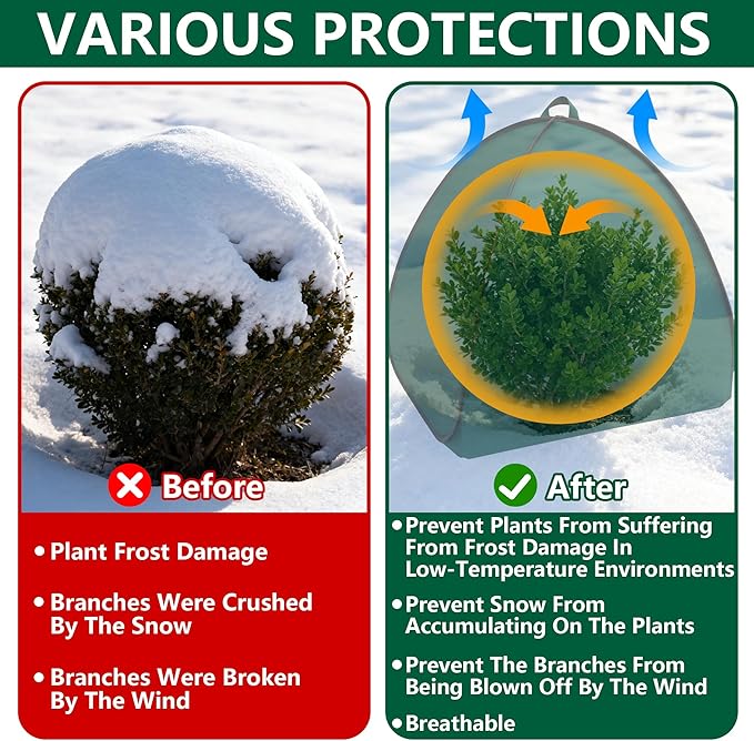 2 Pcs Pop Up Shrub Covers Frost Protection Tent, 38" x 36" x 36" Winter Plant Cover Freeze Protection, Warm Garden Plant Protector Tent for Protecting Outdoor Shrub Fruit Potted Plants from Snow & Ice