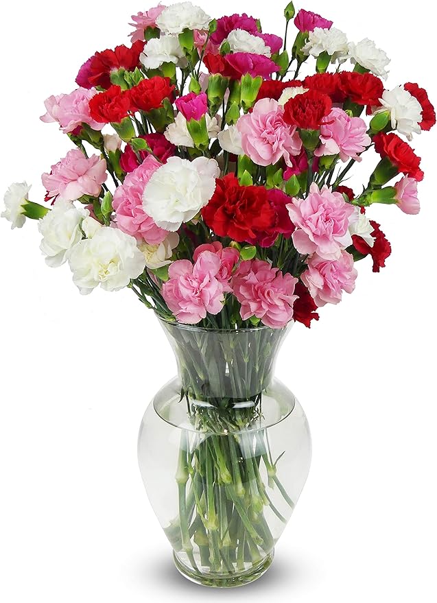 Benchmark Bouquets - 20 Stem Seasonal Mini Carnations (Glass Vase Included) - Fresh Flowers for Delivery - Gifts for Her Valentine's Day, Birthday, Anniversary, Sympathy, Get Well, Congratulations