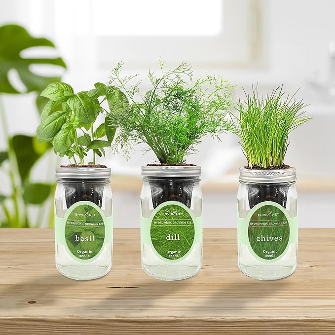 Environet Hydroponic Herb Growing Kit Set, Self-Watering Mason Jar Herb Garden Starter Kit Indoor, Windowsill Herbs Garden, Grow Your Own Herbs from Organic Seeds (Basil, Dill, Chives)