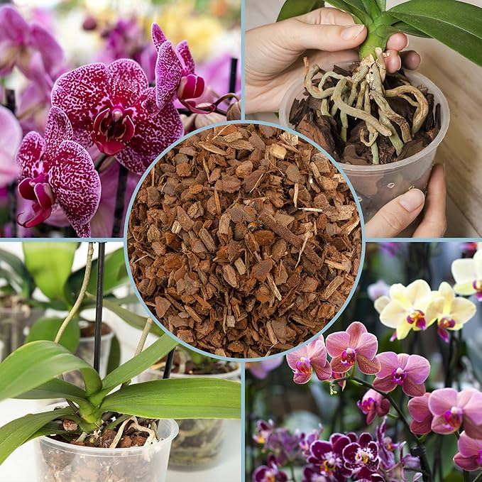 100% Organic Material All Natural Orchid Bark (8 Quarts), Long Lasting All Natural, High Flowering and Aeration for Orchid Plants, Vanda,Phalaenopsis, Cattleya and Houseplant Repotting