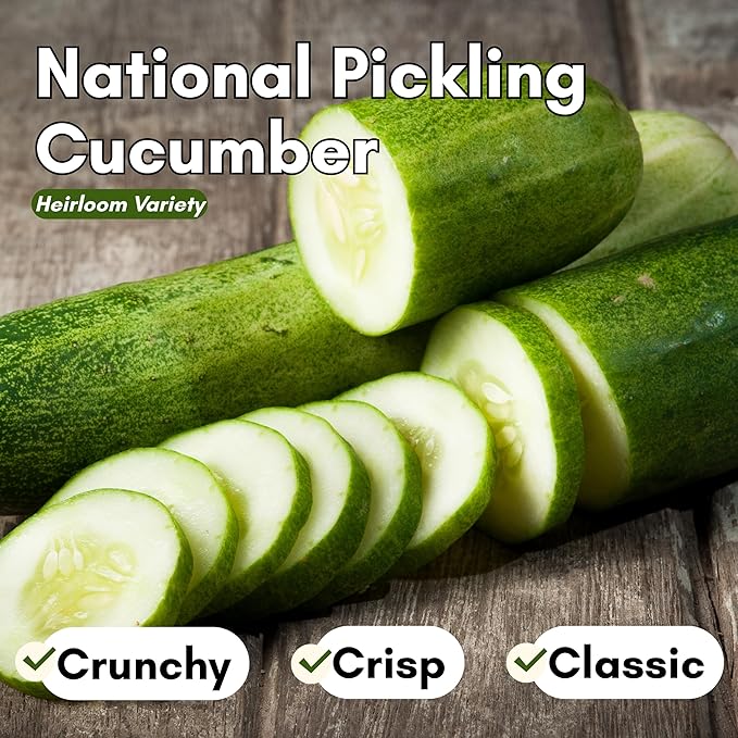 National Pickling Cucumber Seeds for Planting – Heirloom, Non-GMO Pickling Cucumber Seeds for Home Gardens, Crisp Cucumbers for Pickling & Fresh Use, Outdoor Growing | Woods Creek Seeds