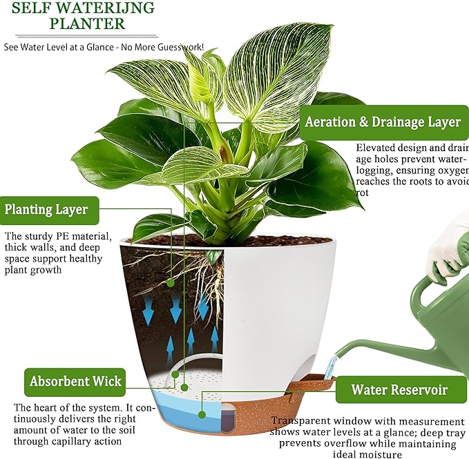 Fielda Self Watering Pots for Inoor Ourdoor Plants 10/9/8/7/6.5 Inch Plastic Planters with Drainage Holes & Water Level Indicator, Decorative House Flower Nursery Planting Pots with Saucers ((White)