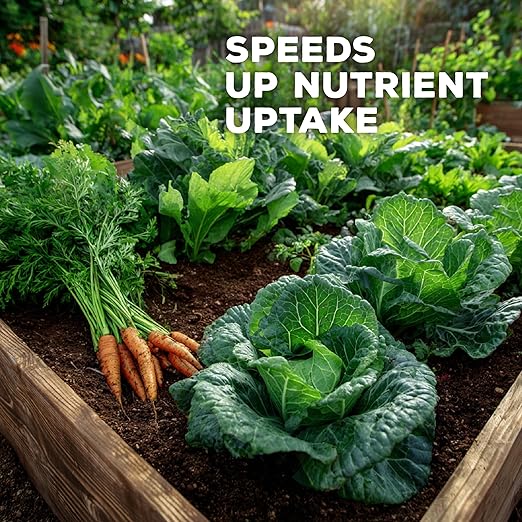 Soil Seed & Water SuperBooster Organic Concentrated Fertilizer – Soil Amendment for Robust Plant Growth - Food Plant Growth Enhancer - OMRI Listed Organic Fertilizer