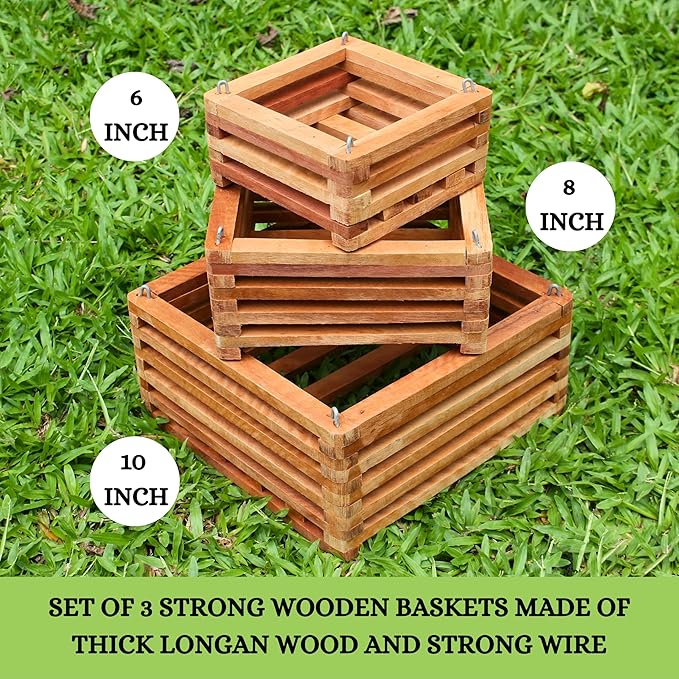 Set of 3 Strong Wooden Orchid Baskets with Hangers, Vanda Baskets for Outside