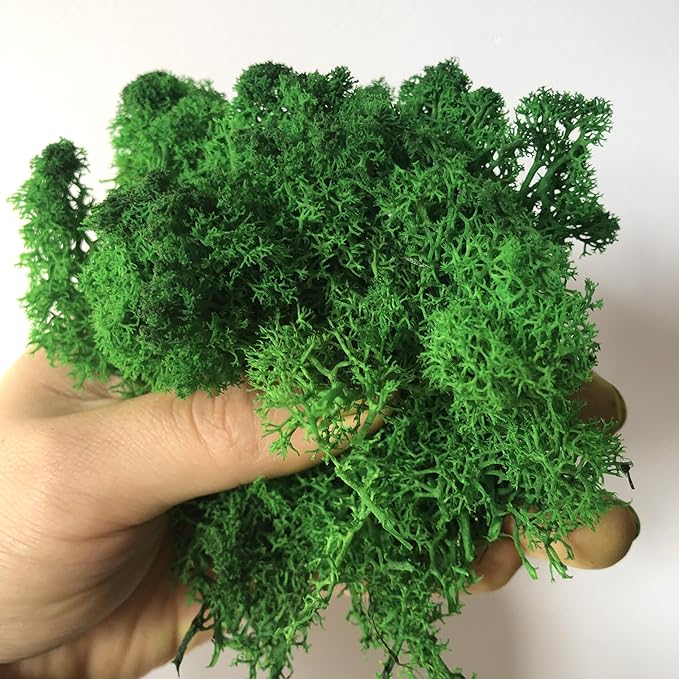 prefleur Preserved Reindeer Moss Natural Green DIY Kit Gardenning Art Wall Decor Florist Decor Easter Table Decor Wedding