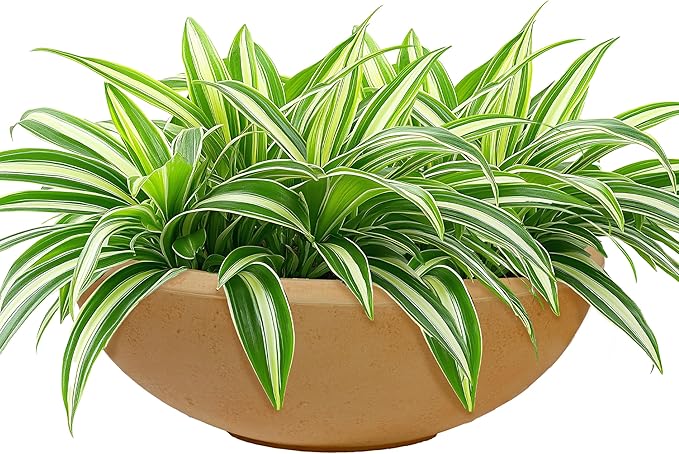 Sunnydaze Percival 20.75" Shallow Outdoor Planter Bowl for Flowers and Succulents - Polyresin Double-Walled Design - Sand