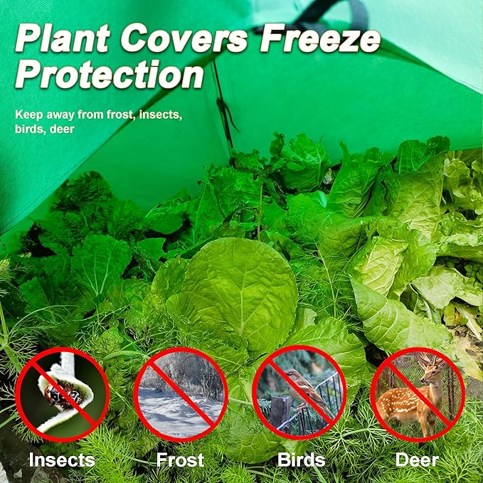 24.5″ *24.5″ *20.5″Mini Greenhouse Winter Plant Warm Covers - Raised Bed Cover for Seed Starting, Warm Tent Freeze Protection Humidity Domes for Gardening & Winter Shelter and Protecting Plants 2pcs