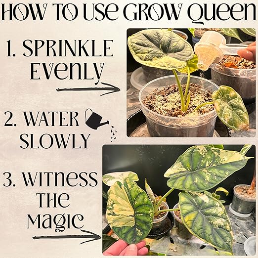 Grow Queen The All-in-One Complete Organic Plant Food, Indoor Plant Food for Houseplants, Organic Fertilizer for Vegetable Gardens, 3lb =75 Formulated Servings Feeds 150 gal Instantly and Slow Release