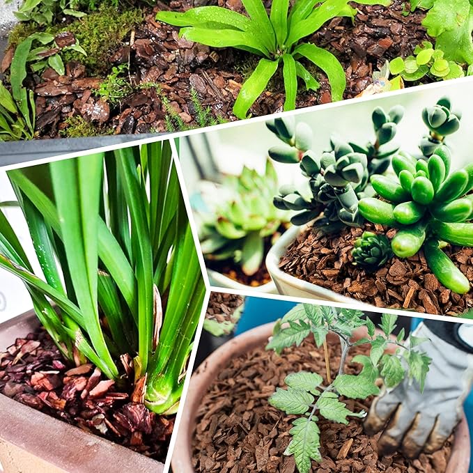 6qt Organic Orchid Potting Bark -Natural Mulch for Potted Plants, Root Development of Orchid Plants and Garden Soil Amendment Mix