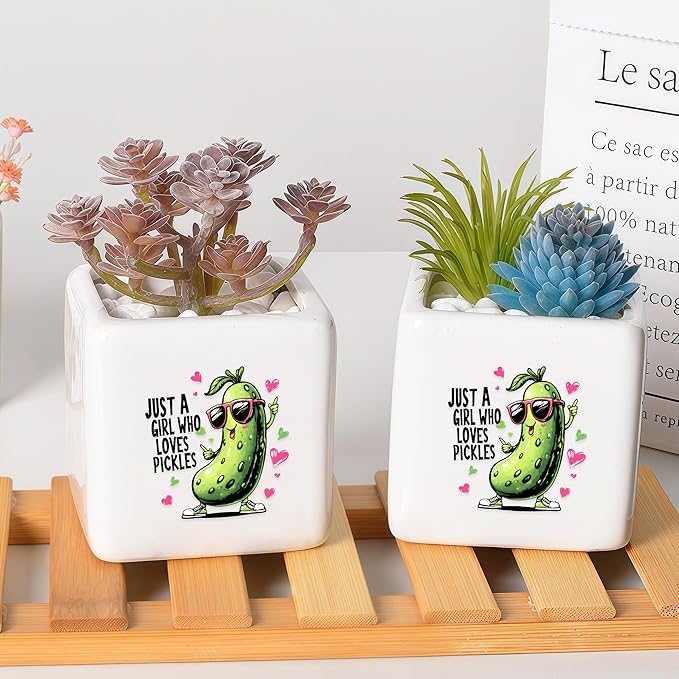 BJDAMAI Pickle Succulent Planter Flower Plant Pot Small, Gifts for Women Teens Girls Kids, Pickle Lovers Themed Stuff Accessories Things Decor Merch, Home Office Table Desk Decoration!