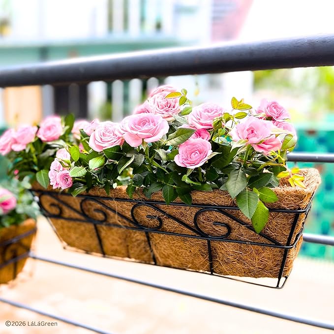 LaLaGreen 16" (6 Pack, Rectangular) Trough Coco Liners for Planter – Medium Coconut Coir Replacement for Window Box, Wall Mount Flower Pot, Outdoor Use– Also Available in 24/30’’ and Different Shapes