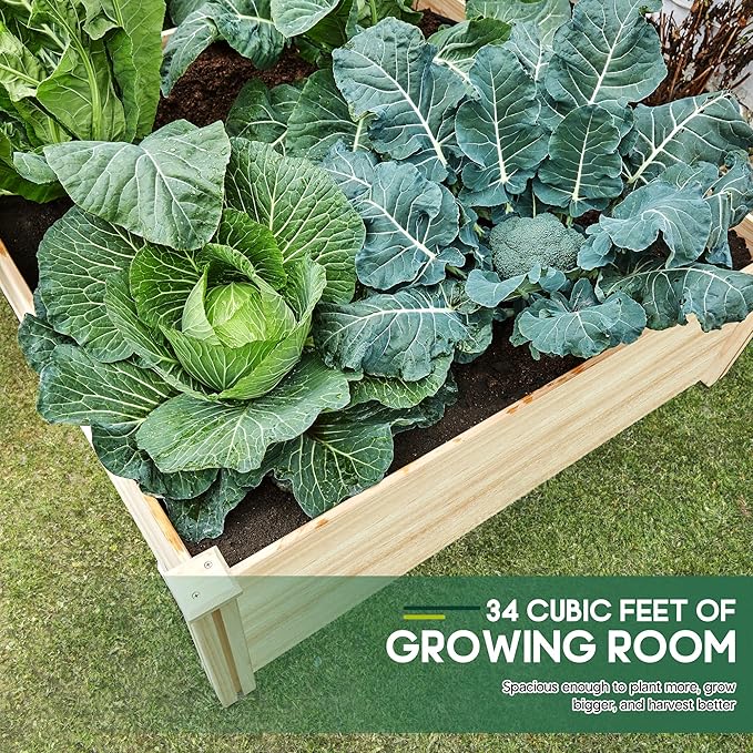 SPECRAFT 15 Inch Depth 8x4 FT Deep Wooden Raised Garden with Open Base, Extra Large Planter Box for Deep-Rooted Plants, Ideal for Outdoors, Patio, Backyard
