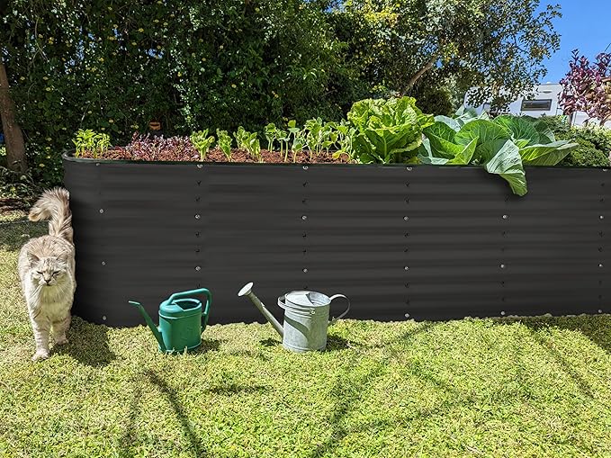 Plant & Plot Galvanized Raised Garden Beds Outdoor // 8×2×2 ft Planter Raised Beds for Gardening, Vegetables, Flowers (Black) // Large Metal Garden Box // Patented Tool-Free Design