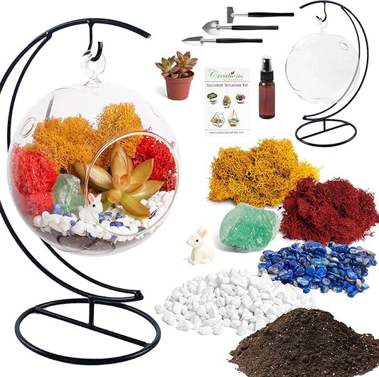 Creations by Nathalie - 5" Glass Globe Succulent Terrarium Kit, Hanging DIY Starter Kit for Kids and Adult, Metal Stand, Reindeer Moss, Crystal & Rocks, Tools, Figurine (Live Plant Included)