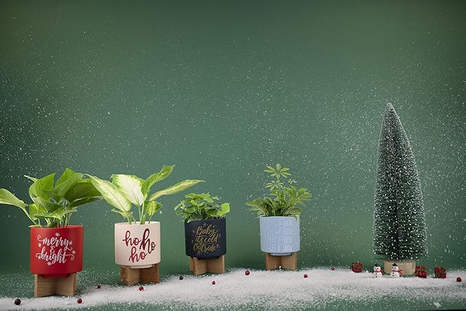 Ceramic Holiday Planter Pot, Merry & Bright Design, Red & White, Holds 4" House Plant or Succulent, Festive Winter Christmas Home Décor with Wood Stand