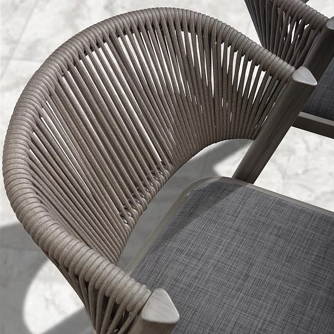 PURPLE LEAF 2 Pieces Outdoor Dining Chair All-Weather Wicker Aluminum Frame Patio Dining Chair for Lawn Garden Backyard Deck with Cushion, Gray