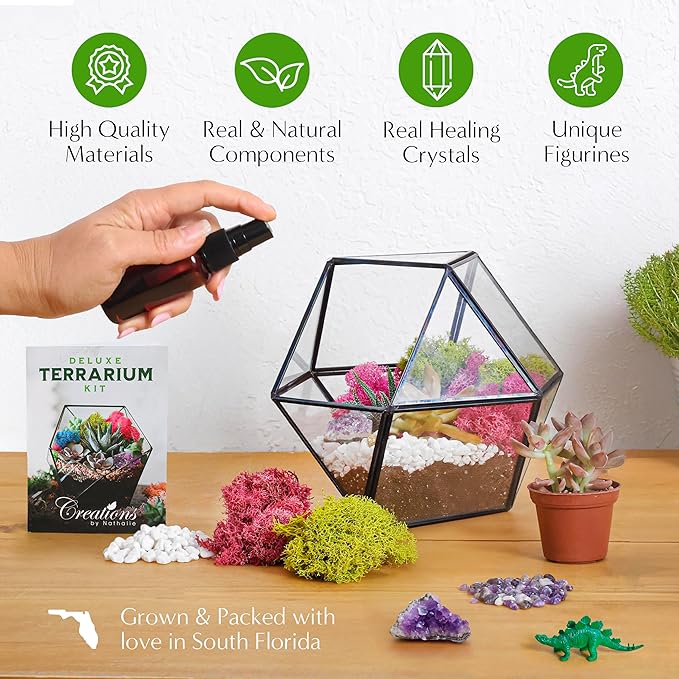 Creations by Nathalie – Premium Small DIY Terrarium Kit for Succulents, Cacti & Air Plants, Includes Soil, Moss, Pebbles, Tools, Amethyst Gem & Crystal Chips – Handmade in USA