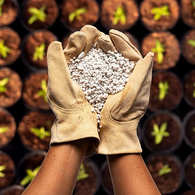 Perlite Bliss (8 Qts) - Organic Perlite for Plants Indoor Soil Amendment - Horticultural Perlite for Gardening & Seed Starting - Mix Easily with Potting Soil, Vermiculite, & Coco Coir for Plants