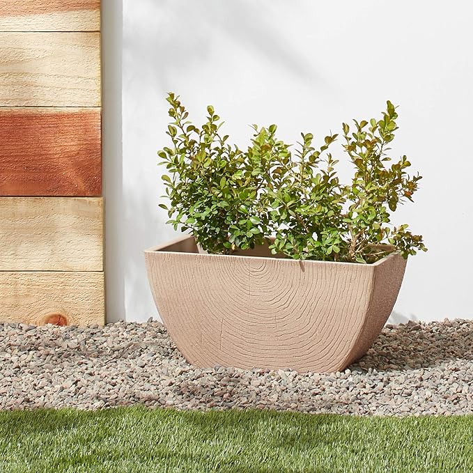 Arcadia Garden Products Q41B Concentric Window Box, 16 x 10 x 8, Beige