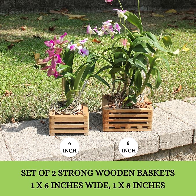 Set of 2 Wooden Orchid Baskets with Hangers, Hanging Vanda Baskets for Outside