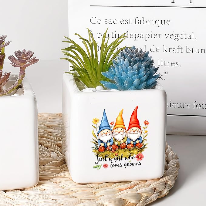 BJDAMAI Gnomes Succulent Planter Flower Plant Pot Small, Gifts for Women Teens Girls Kids, Gnomes Lovers Themed Stuff Accessories Things Decor Merch, Home Office Table Desk Decoration!