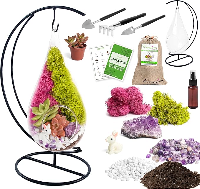 Creations by Nathalie 7" DIY Teardrop Terrarium Kit with Live Plants - Hanging Glass Planter with Stand for Adults & Kids - Build a Mini Ecosystem with Moss, Crystals, Tools - Made in The USA