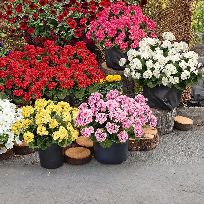 Uqueeten Artificial Flowers for Outdoors Artificial Geranium,Fake Flower White Geranium Artificial Plant Home Decor,Silk Geraniums Realistic Outdoor Flower Fake Plant Decoration 14.4" (White) 8PCS
