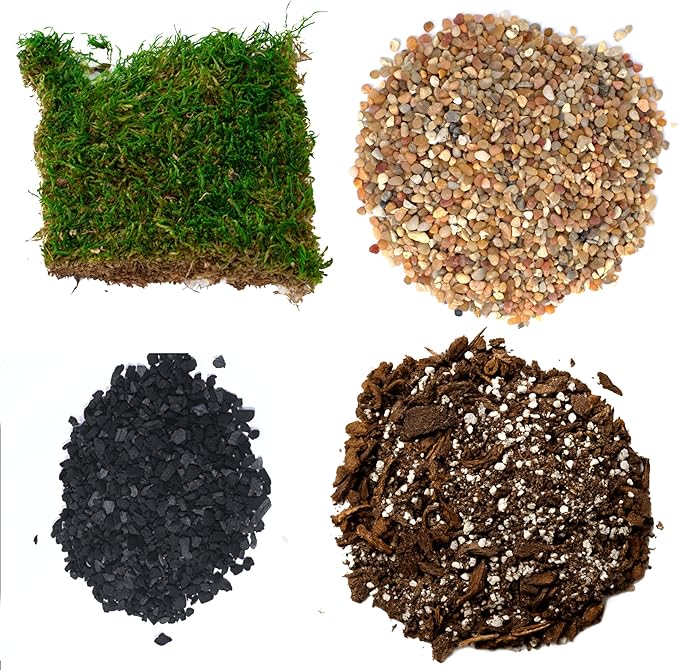 TerraGreen Creations Succulent Planter Kit - Terrarium Kit with Succulent Soil, Gravel, Pebble, Moss,