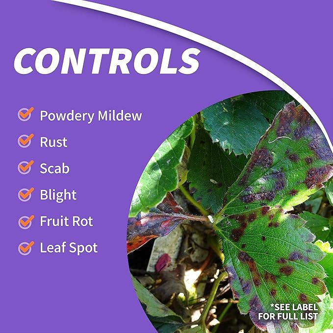 Bonide Fruit Tree & Plant Guard, 16 oz Ready-to-Spray Insect & Disease Control for Trees, Shrubs and Flowers
