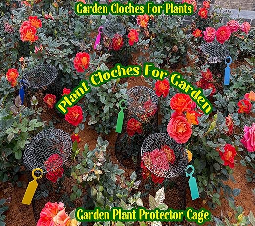 Feel Natural-10 Pcs 9.25"x9.45"Plant Covers from Animals Plant Protectors from Animals Plant Basket Covers Garden Cloches for Plants Garden Plant Covers Cage for Plants Garden Cages