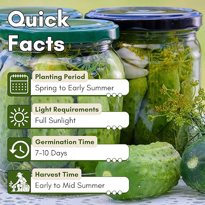 National Pickling Cucumber Seeds for Planting – Heirloom, Non-GMO Pickling Cucumber Seeds for Home Gardens, Crisp Cucumbers for Pickling & Fresh Use, Outdoor Growing | Woods Creek Seeds