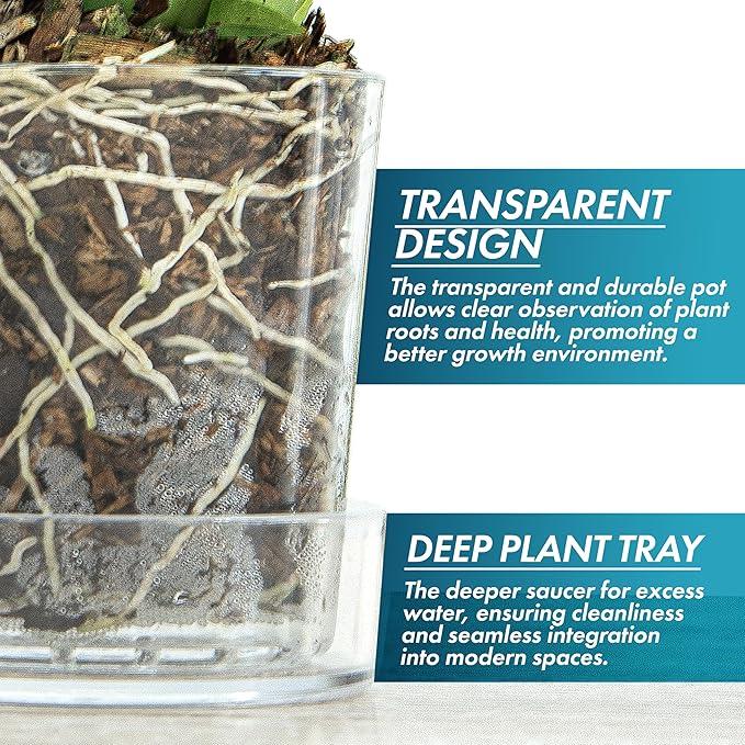 Phoenix Vine 3.5 Inch Clear Acrylic Planter Pot with Tray, Orchid Pot with Drainage Holes, Deep Saucer for Bottom Watering, Transparent Containers for Indoor Plants, Herbs, Set of 1, 91-A-D-1